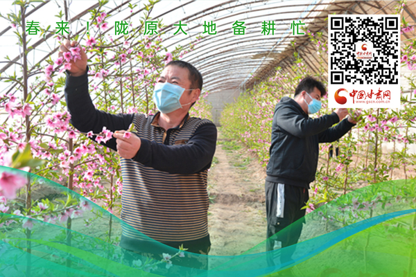 海報(bào)丨春來(lái)！隴原大地春耕忙