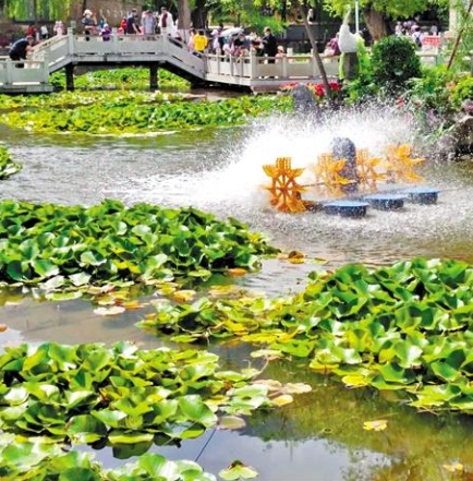 走，到五泉山公園看花展去