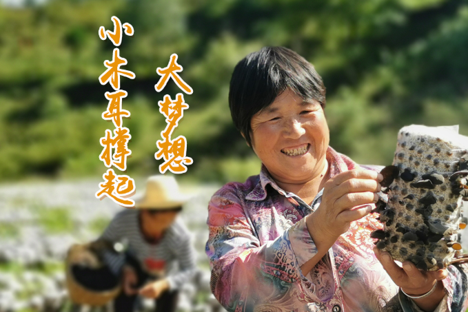 海報丨他們，乘“豐”破浪！
