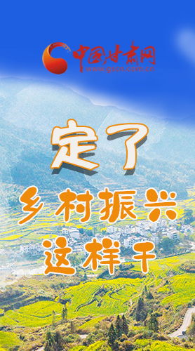 圖解|定了！全面推進(jìn)鄉(xiāng)村振興這樣干！