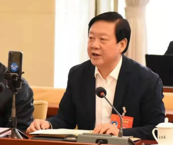 【聚焦2021全國兩會】全國人大代表、市委書記楊維俊接受中國日報記者采訪