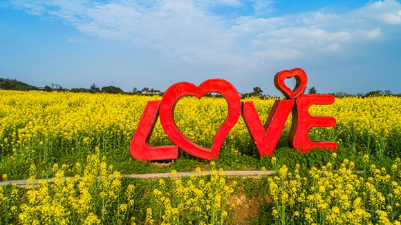 “l(fā)ove”創(chuàng)意拍照墻。廖濤 攝