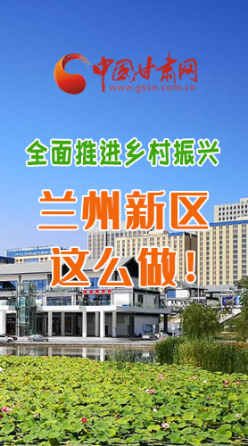 圖解|全面推進(jìn)鄉(xiāng)村振興 蘭州新區(qū)這么做！