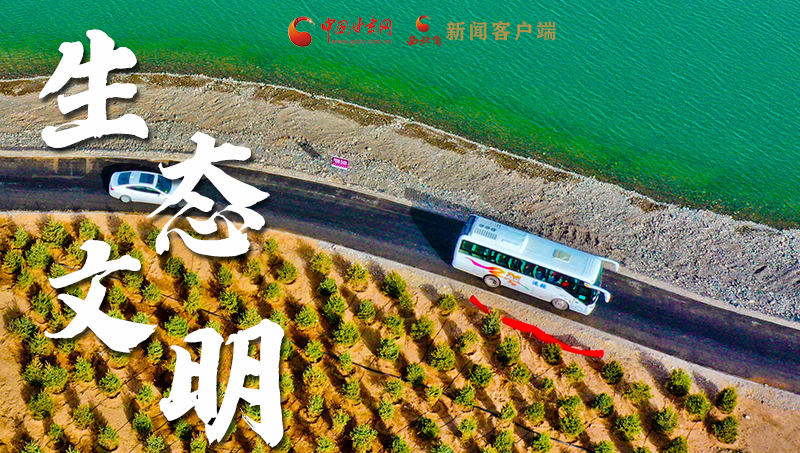 彈幕海報丨熱議甘肅省委十三屆十六次全會 網(wǎng)民聲音在回響！