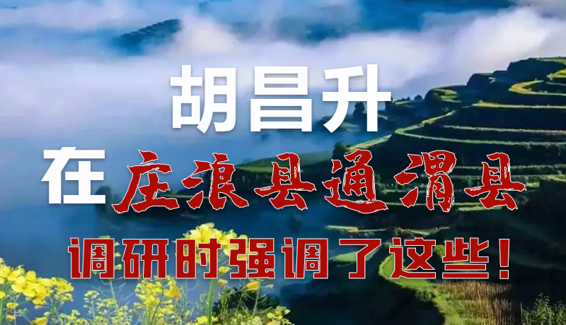 圖解|胡昌升在莊浪縣通渭縣調(diào)研時(shí)強(qiáng)調(diào)了這些！