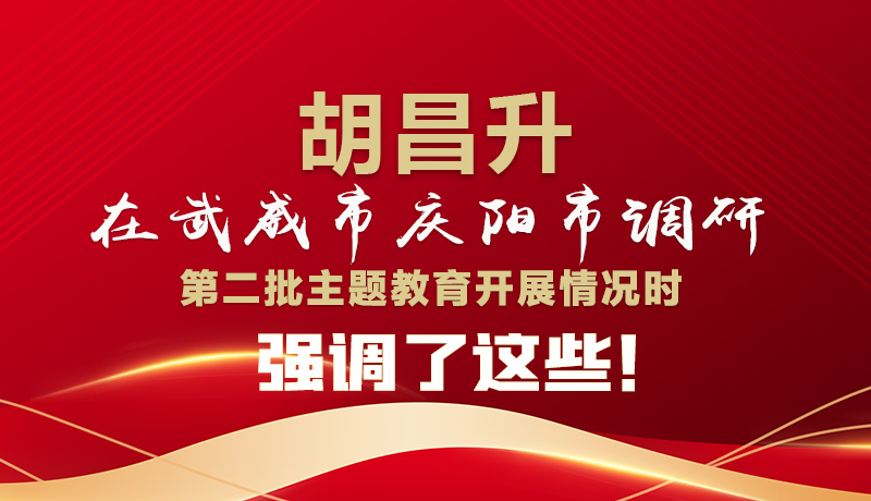 圖解|胡昌升在武威市慶陽市調(diào)研第二批主題教育開展情況時強調(diào)了這些！