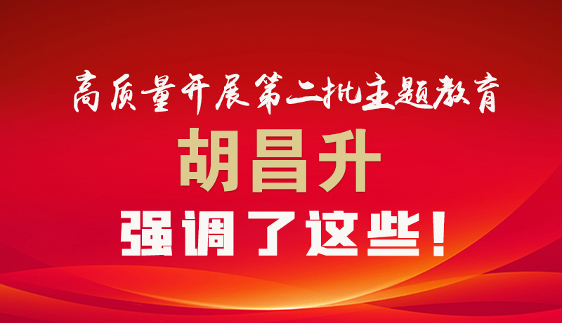 圖解|高質(zhì)量開展第二批主題教育 胡昌升強(qiáng)調(diào)了這些！