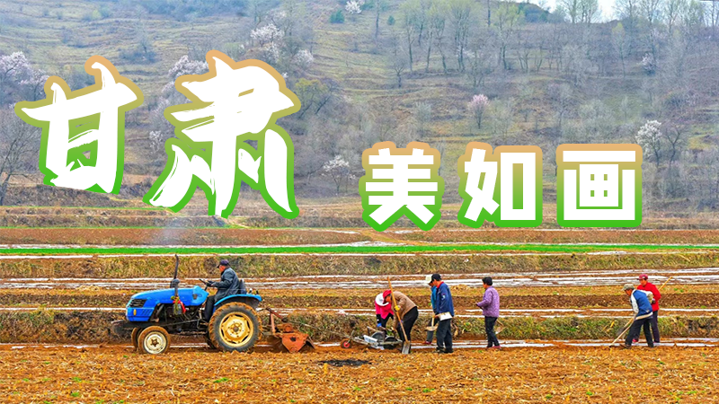 微海報(bào)|甘肅，美如畫