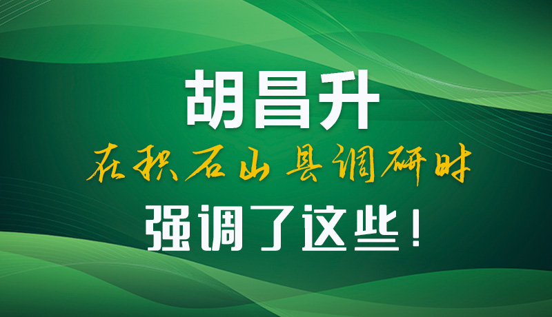 圖解|胡昌升在積石山縣調研時強調了這些！