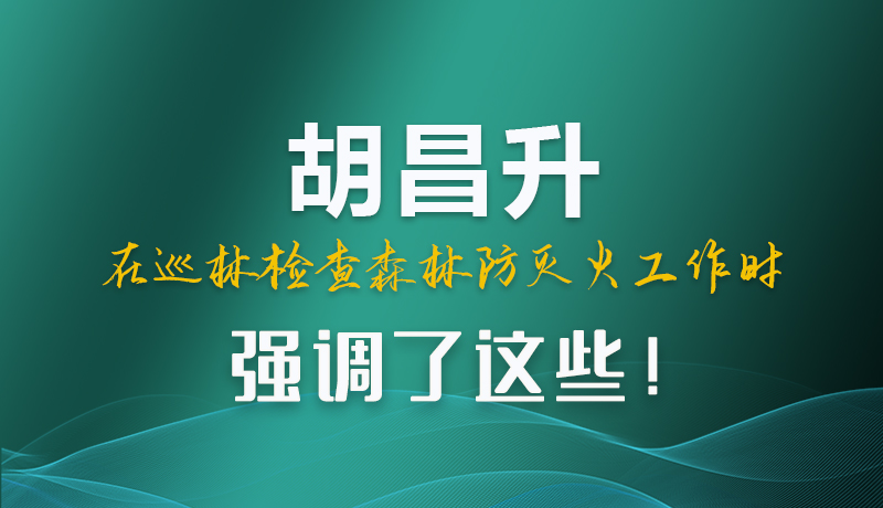圖解|胡昌升在巡林檢查森林防滅火工作時強調了這些！