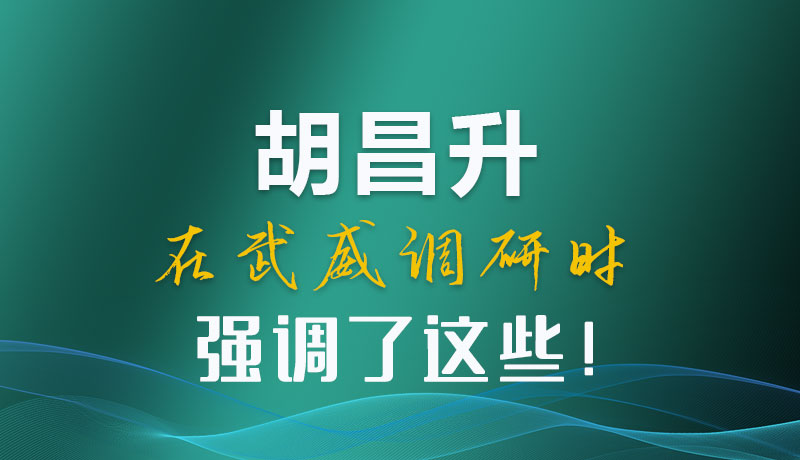 圖解|胡昌升在武威調(diào)研時強調(diào)了這些！